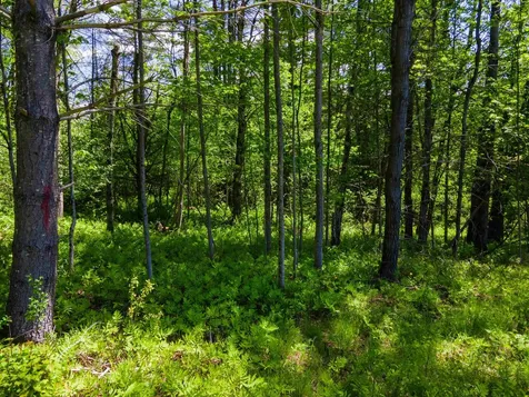 381 E Green Mountain Road Claremont NH 03743