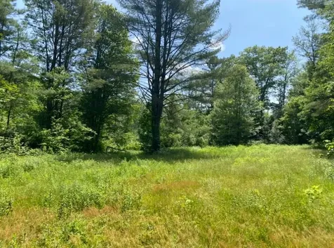 8769 Route 14 N Brookfield VT 05036
