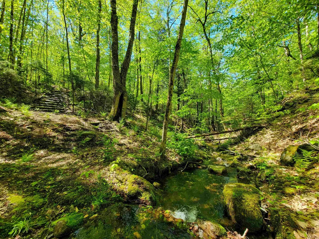 925 Hathaway Road Goshen VT 05733