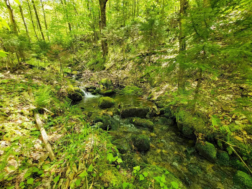 925 Hathaway Road Goshen VT 05733