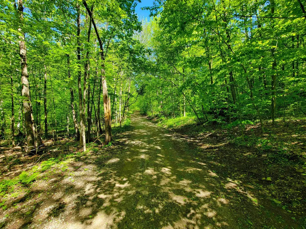 925 Hathaway Road Goshen VT 05733