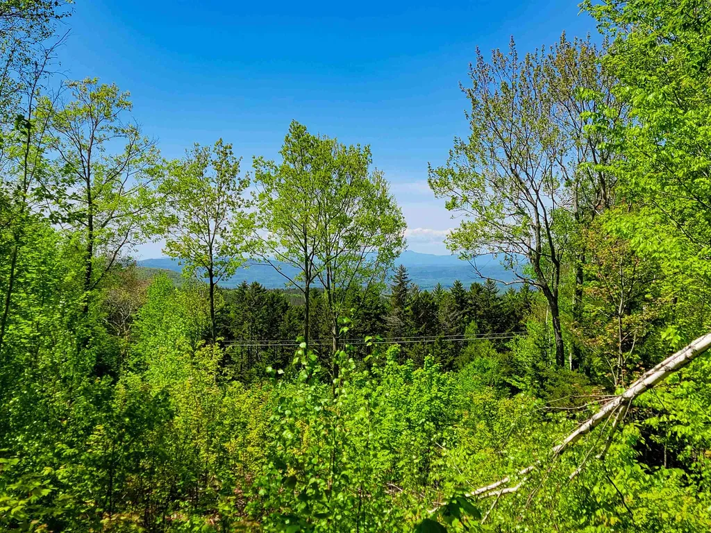 925 Hathaway Road Goshen VT 05733