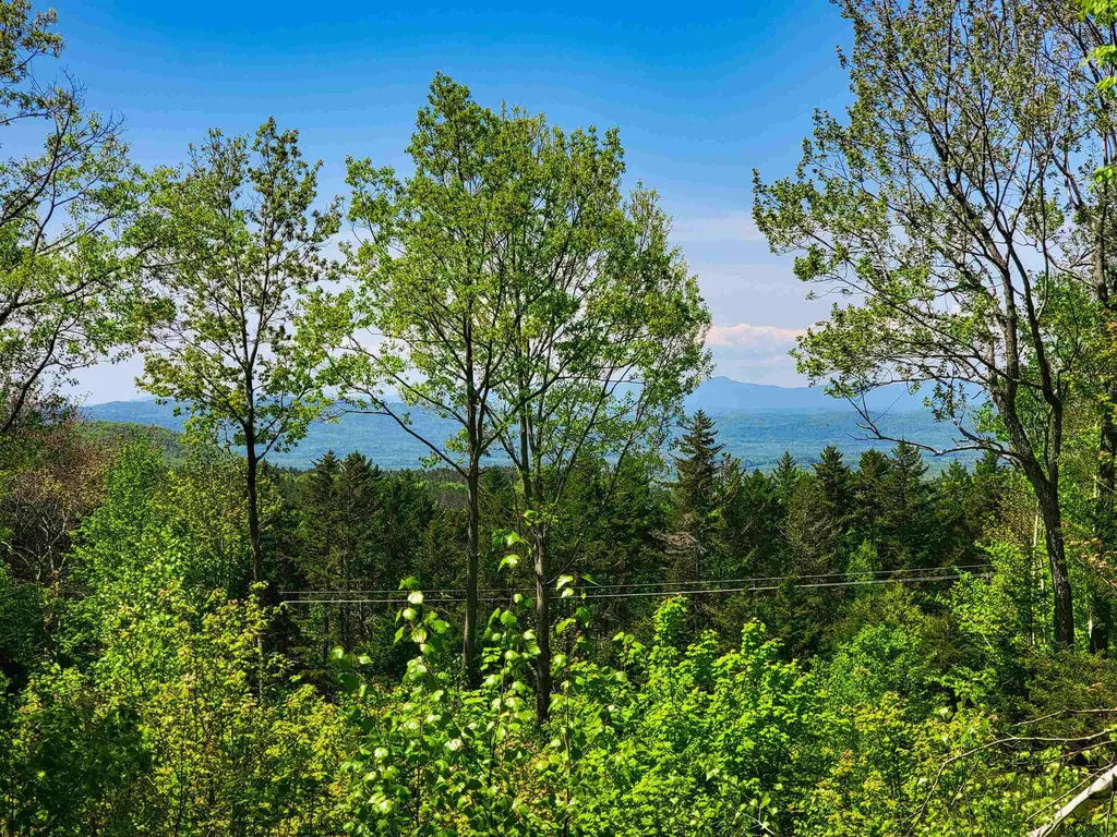 925 Hathaway Road Goshen VT 05733