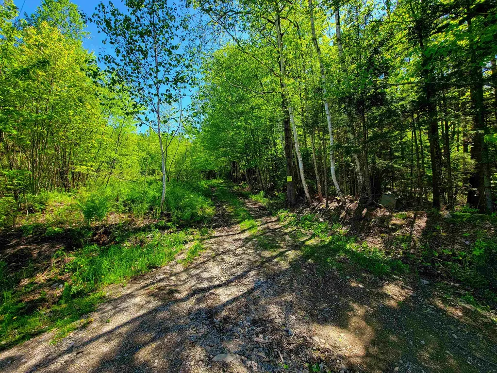 925 Hathaway Road Goshen VT 05733