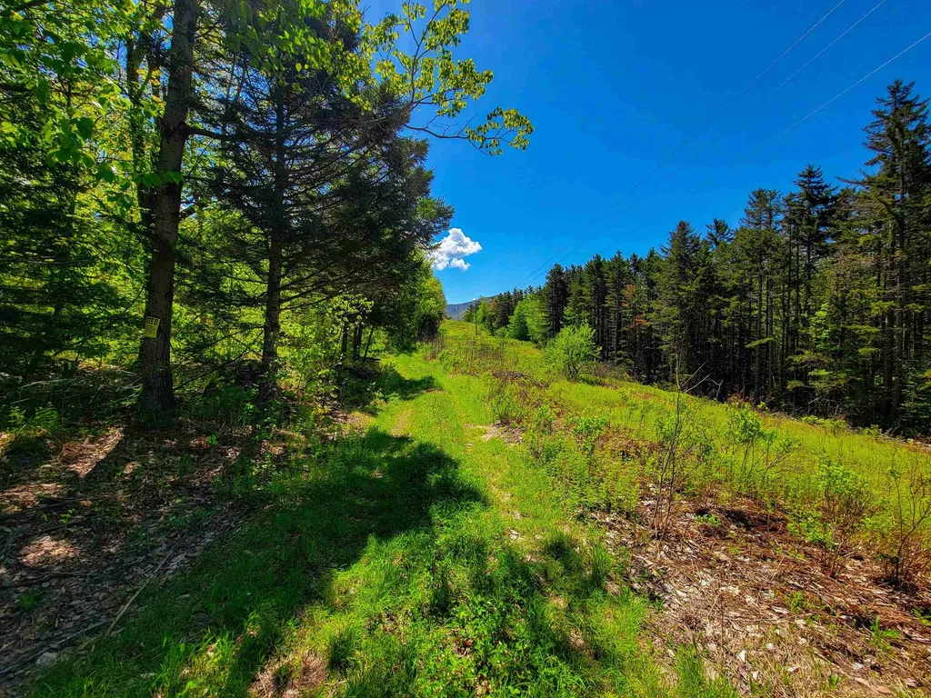 925 Hathaway Road Goshen VT 05733