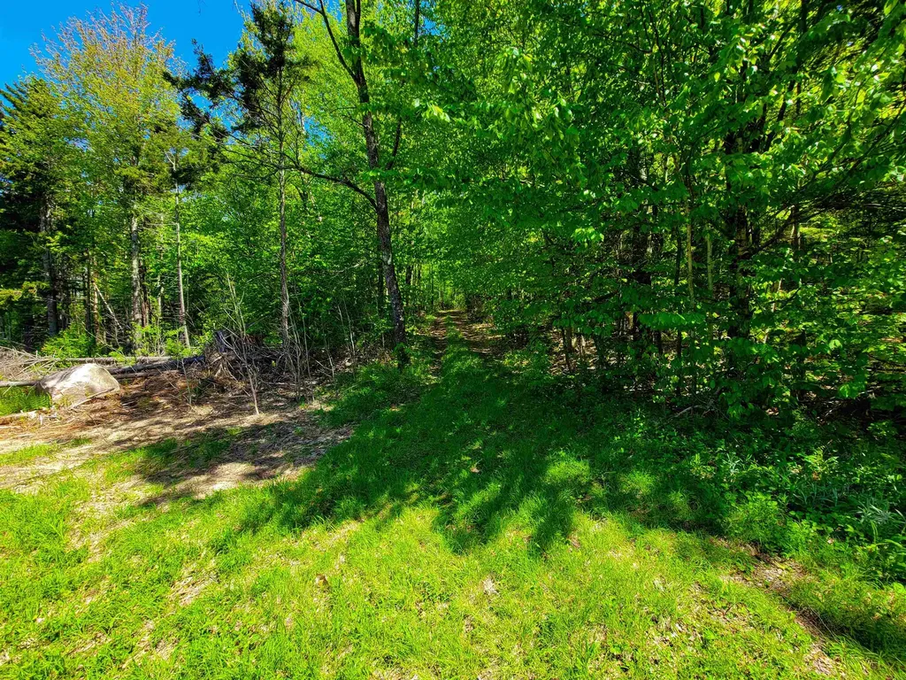 925 Hathaway Road Goshen VT 05733