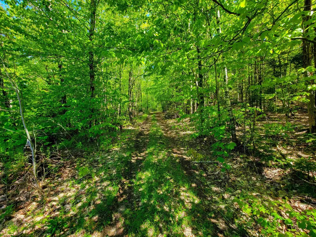 925 Hathaway Road Goshen VT 05733