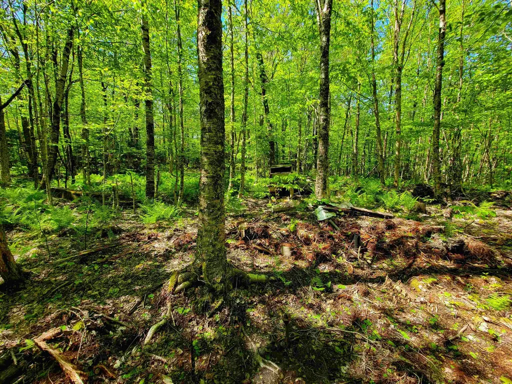 925 Hathaway Road Goshen VT 05733