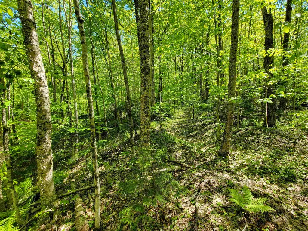 925 Hathaway Road Goshen VT 05733