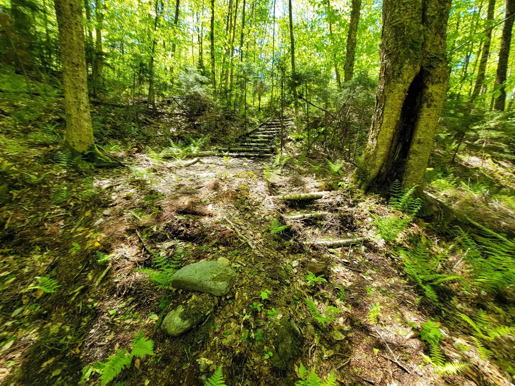 925 Hathaway Road Goshen VT 05733