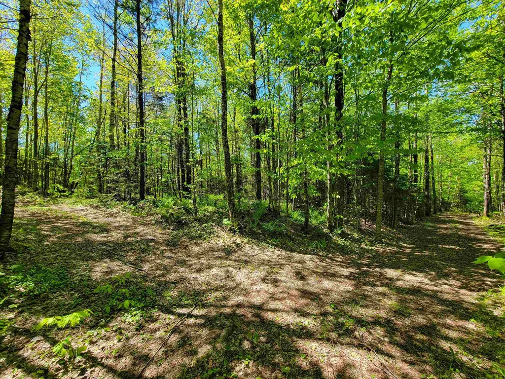 925 Hathaway Road Goshen VT 05733