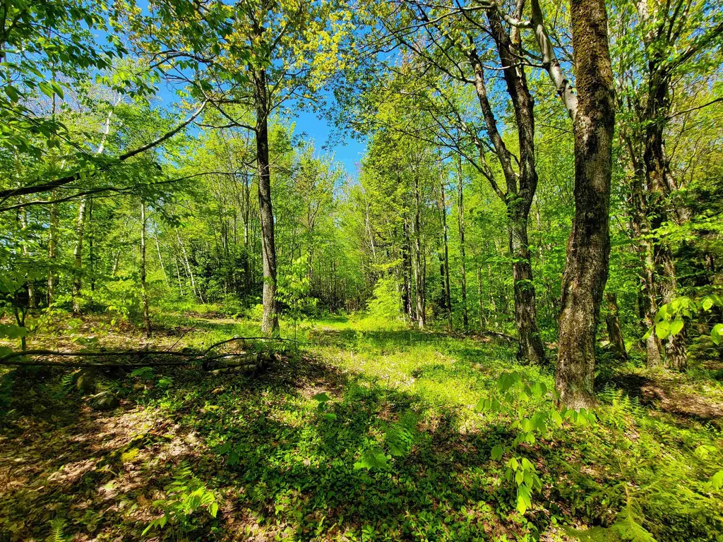 925 Hathaway Road Goshen VT 05733