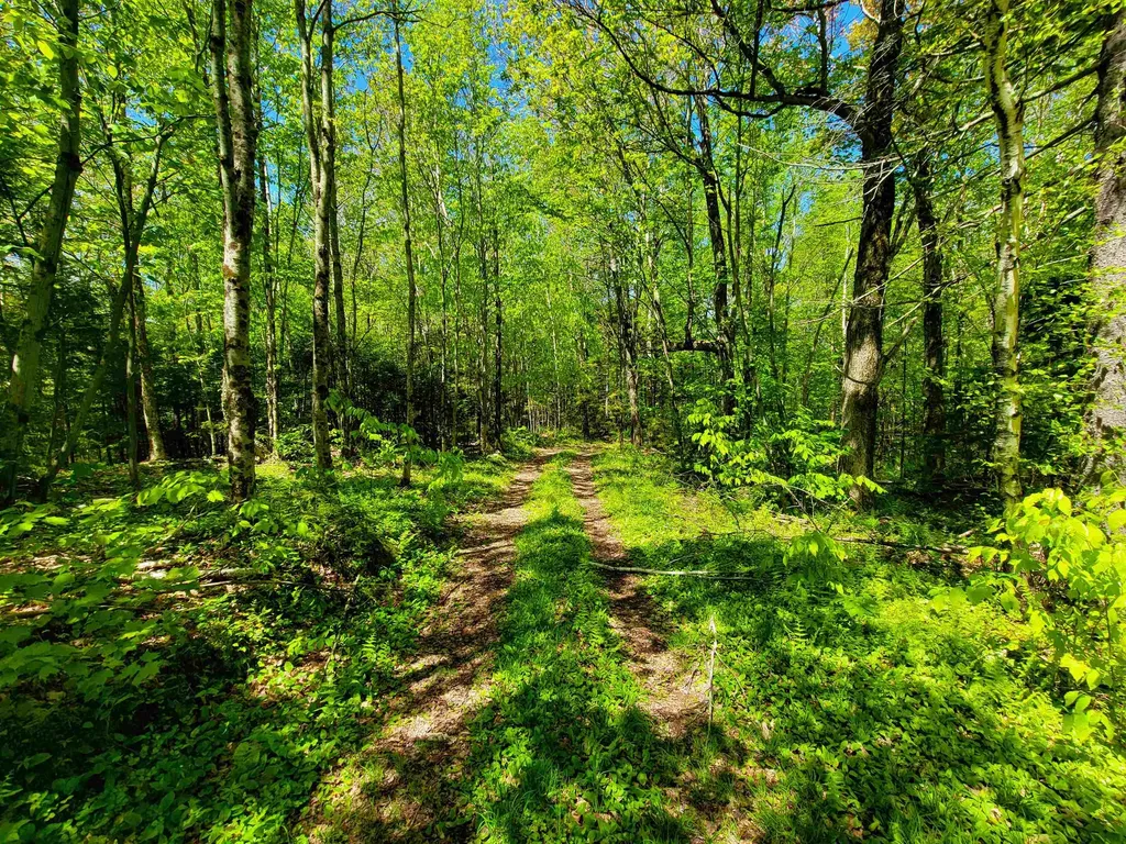 925 Hathaway Road Goshen VT 05733