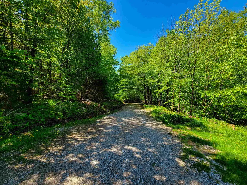 925 Hathaway Road Goshen VT 05733