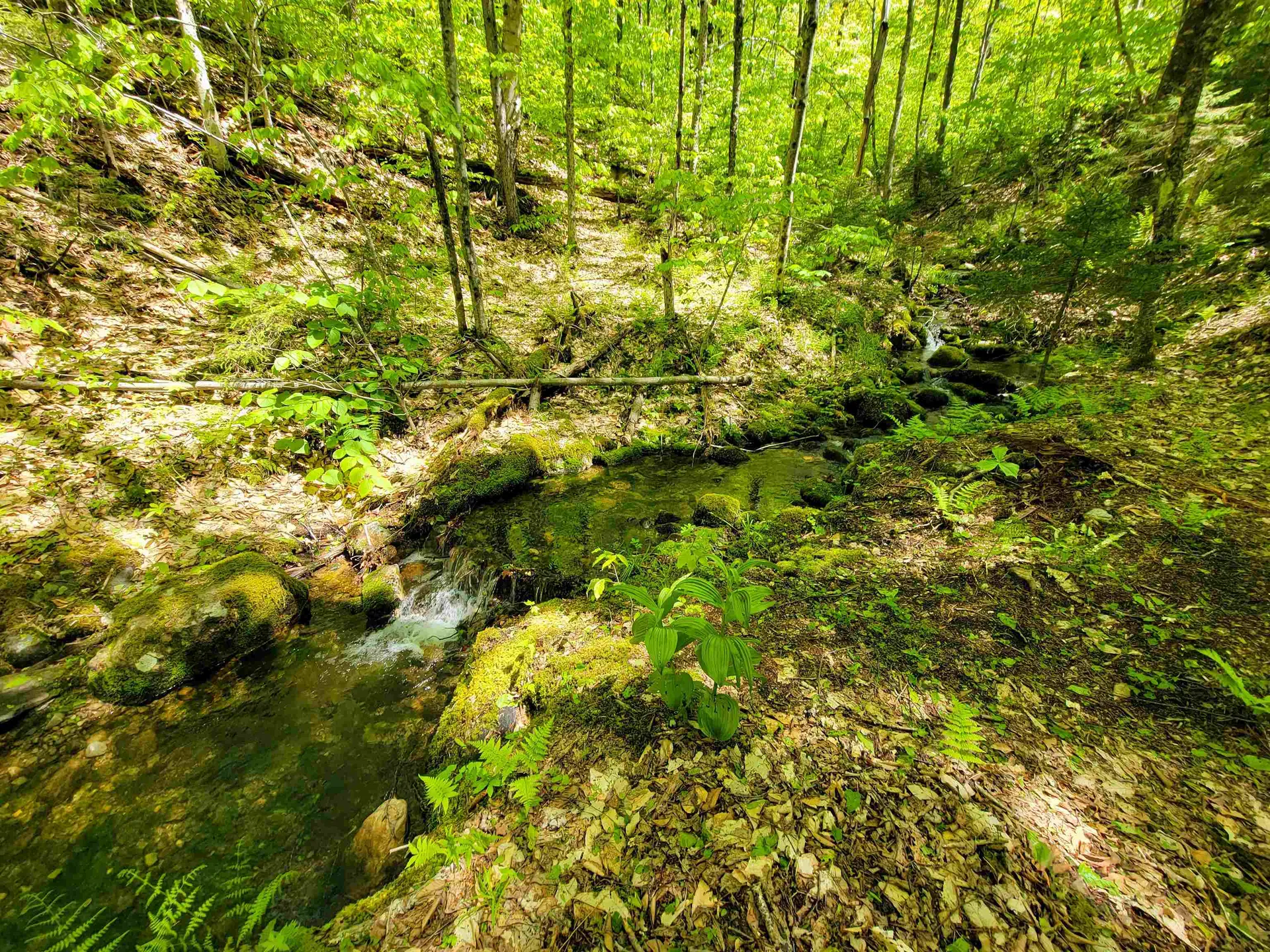 925 Hathaway Road Goshen VT 05733