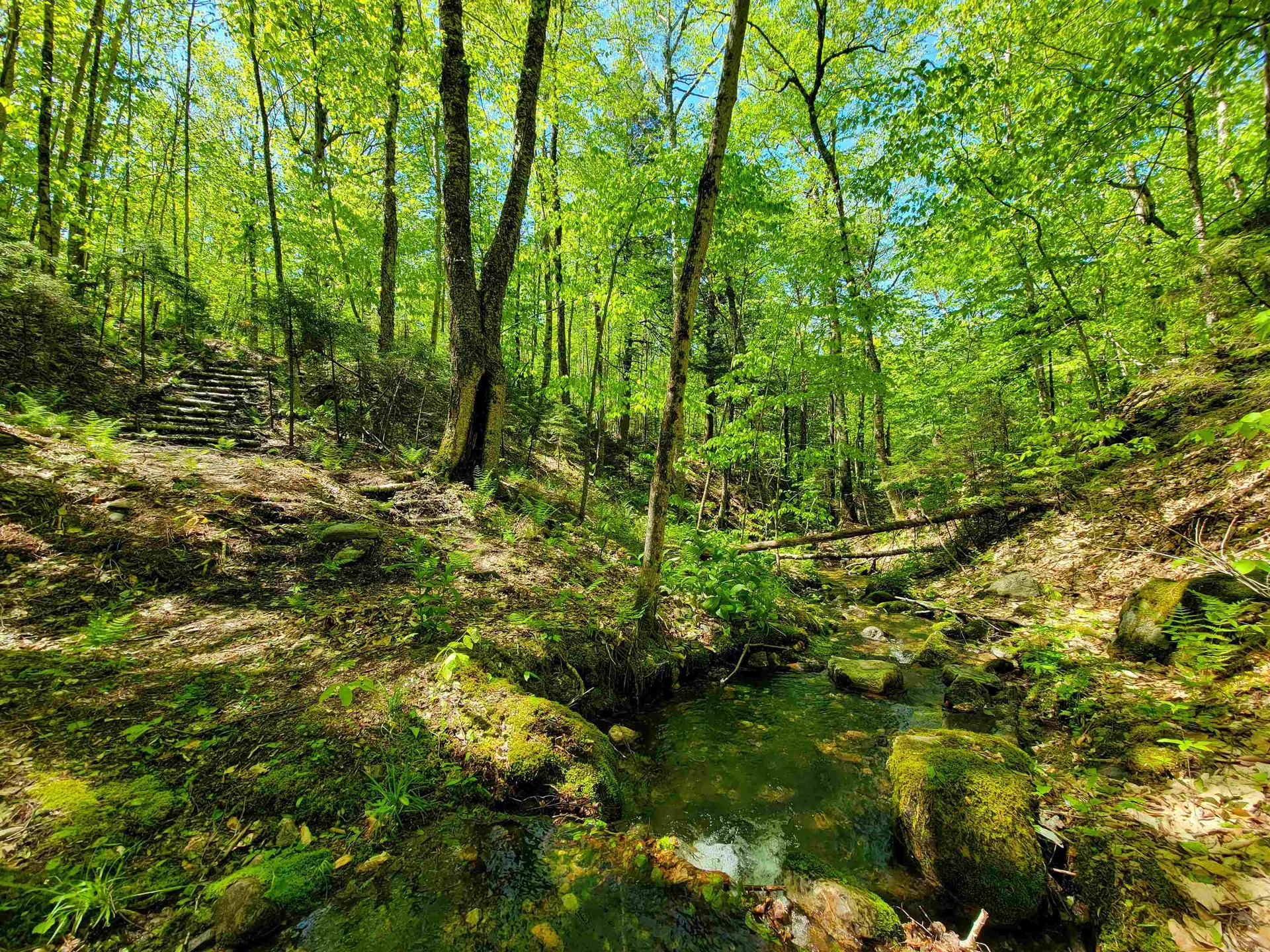 925 Hathaway Road Goshen VT 05733