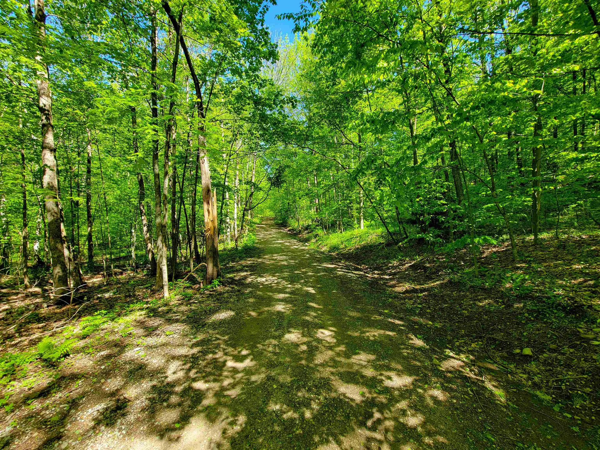 925 Hathaway Road Goshen VT 05733