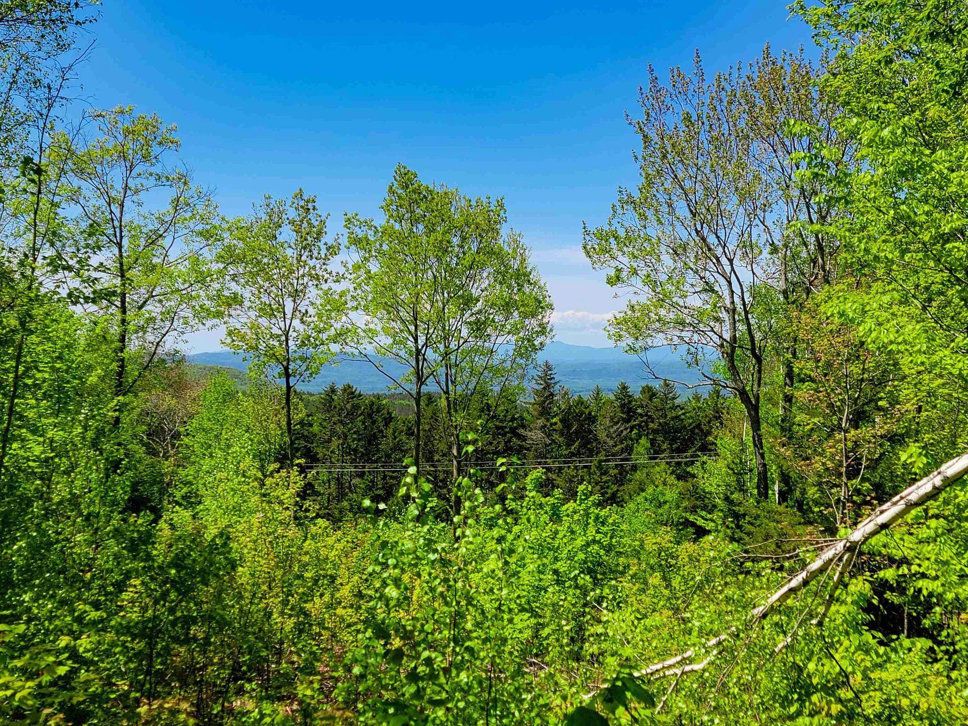 925 Hathaway Road Goshen VT 05733