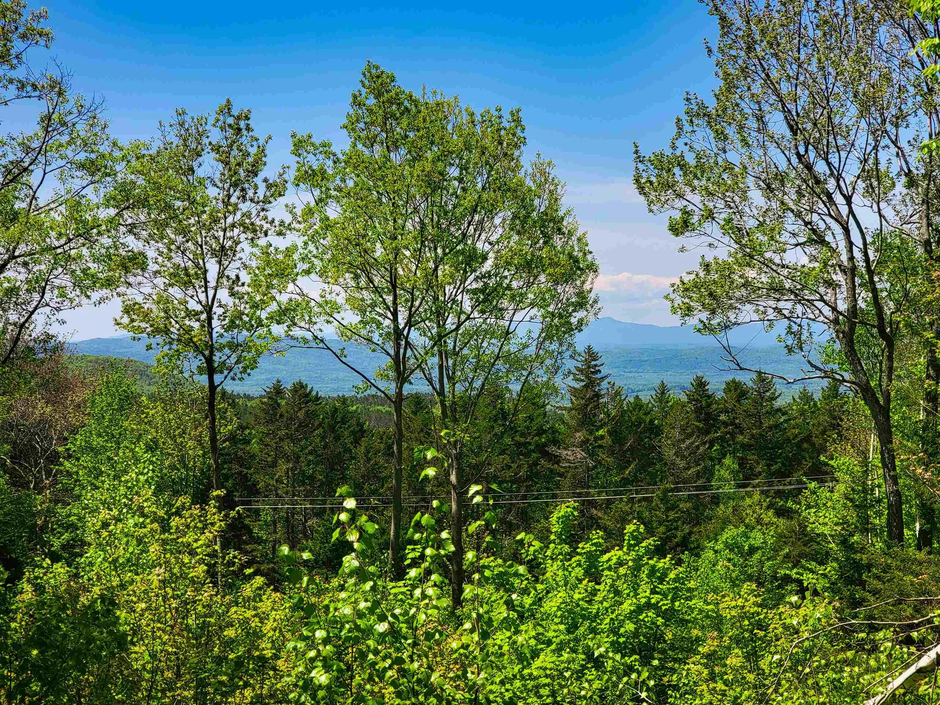 925 Hathaway Road Goshen VT 05733