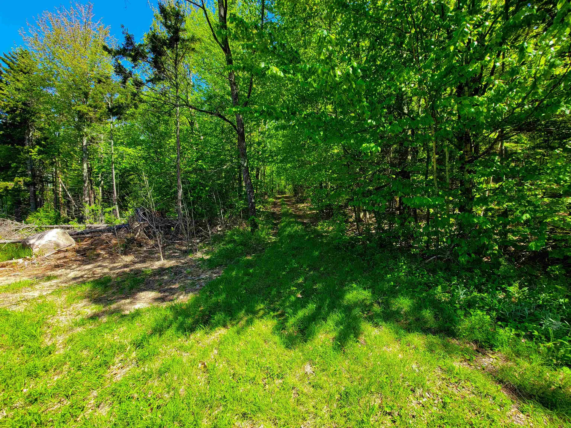 925 Hathaway Road Goshen VT 05733