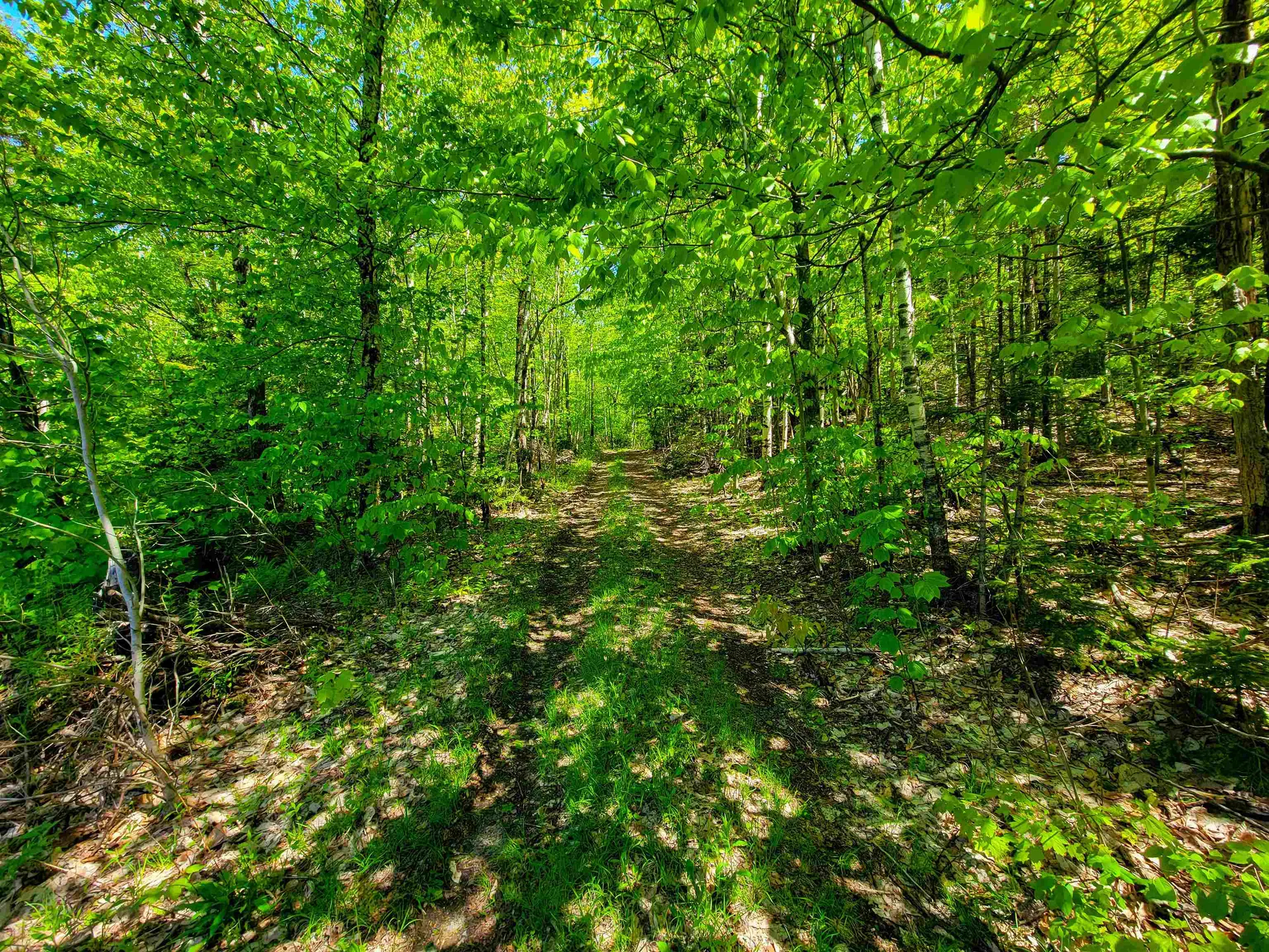 925 Hathaway Road Goshen VT 05733