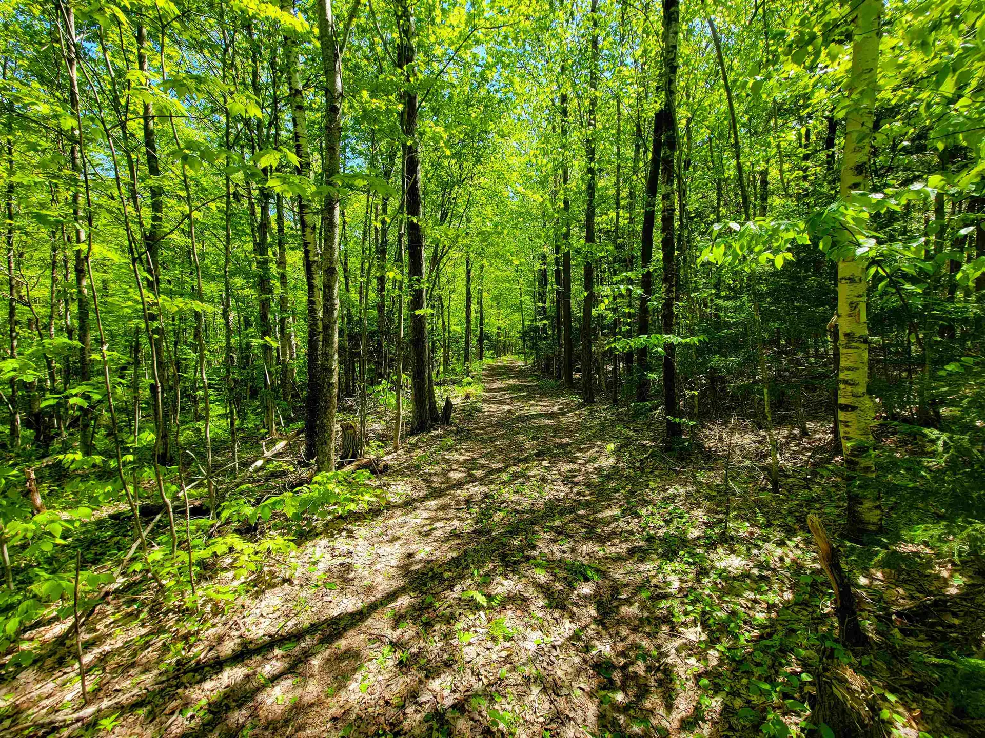 925 Hathaway Road Goshen VT 05733