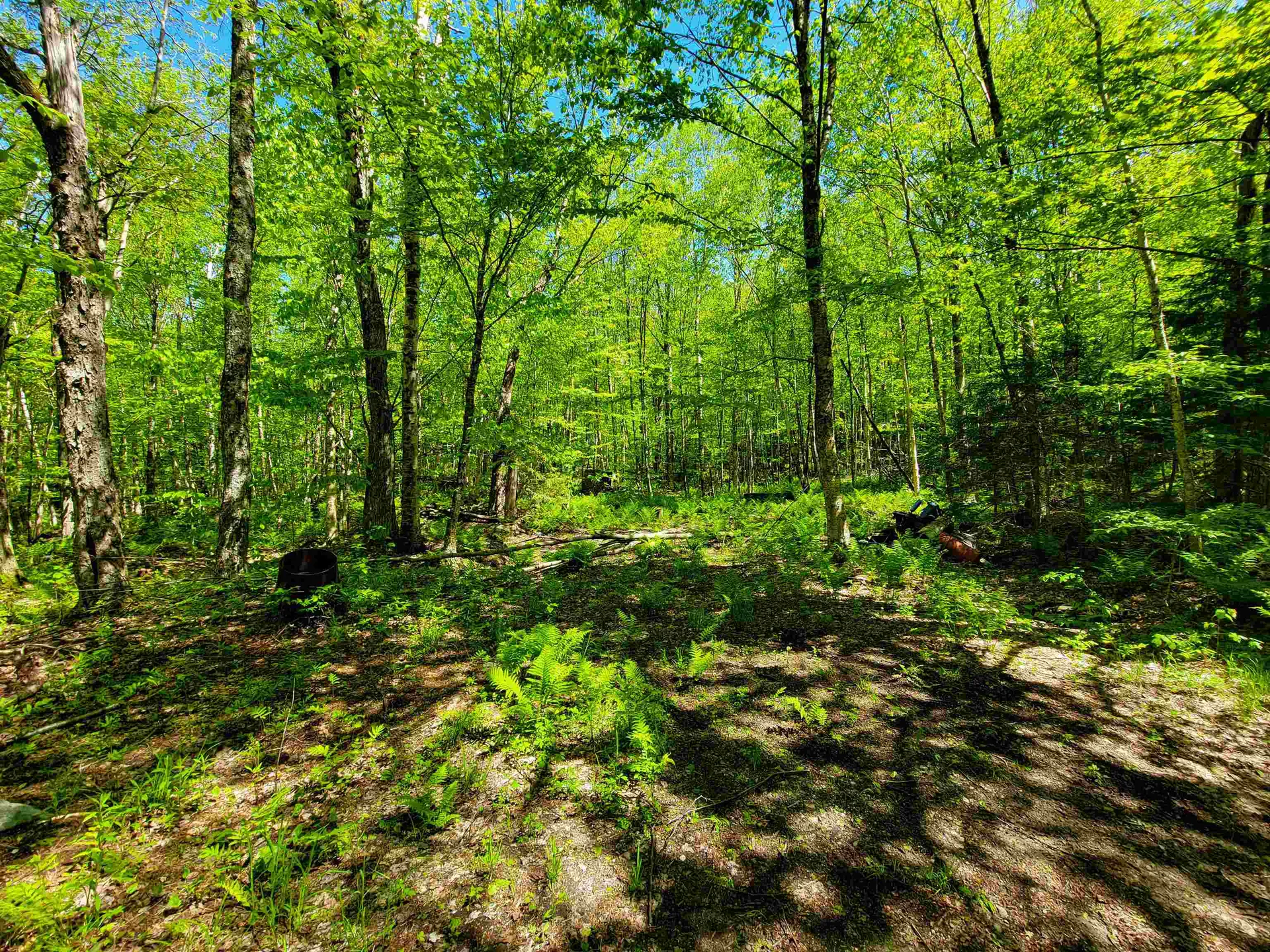 925 Hathaway Road Goshen VT 05733