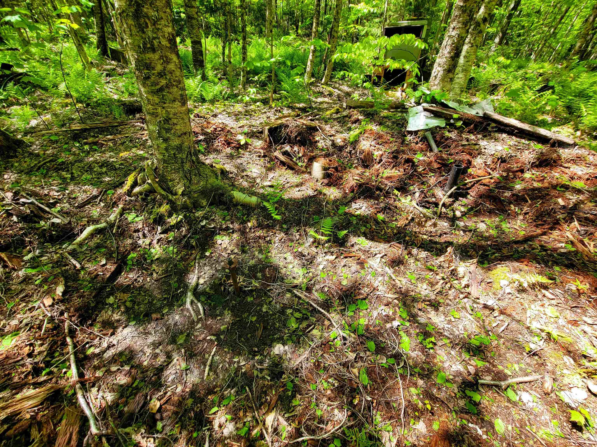 925 Hathaway Road Goshen VT 05733