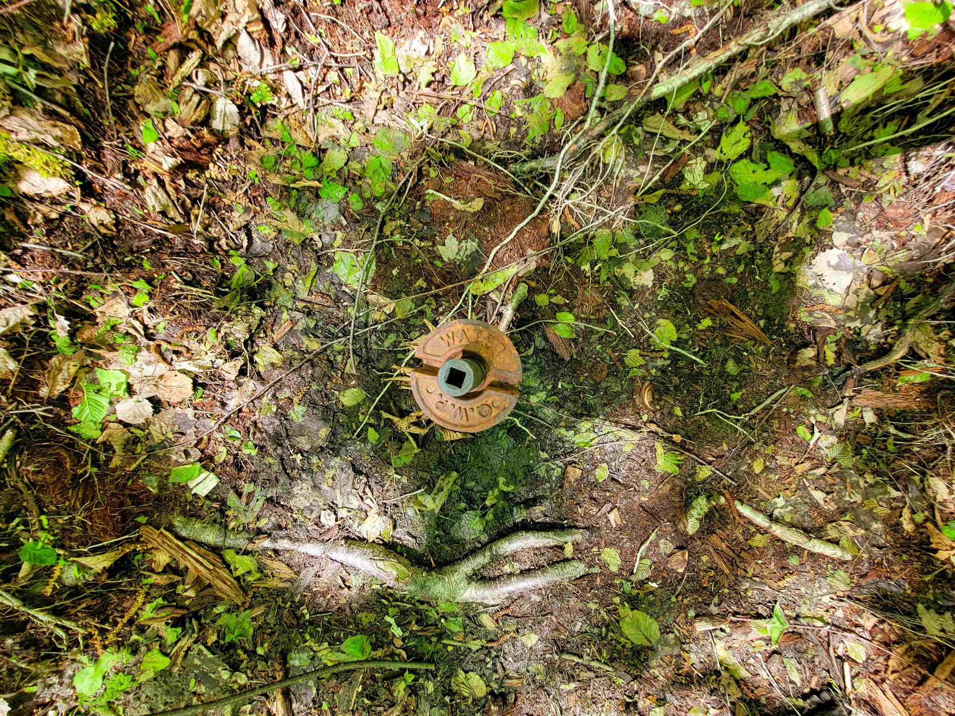 925 Hathaway Road Goshen VT 05733