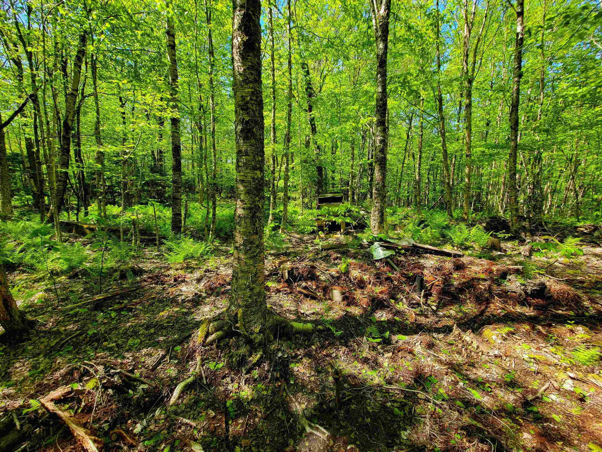 925 Hathaway Road Goshen VT 05733