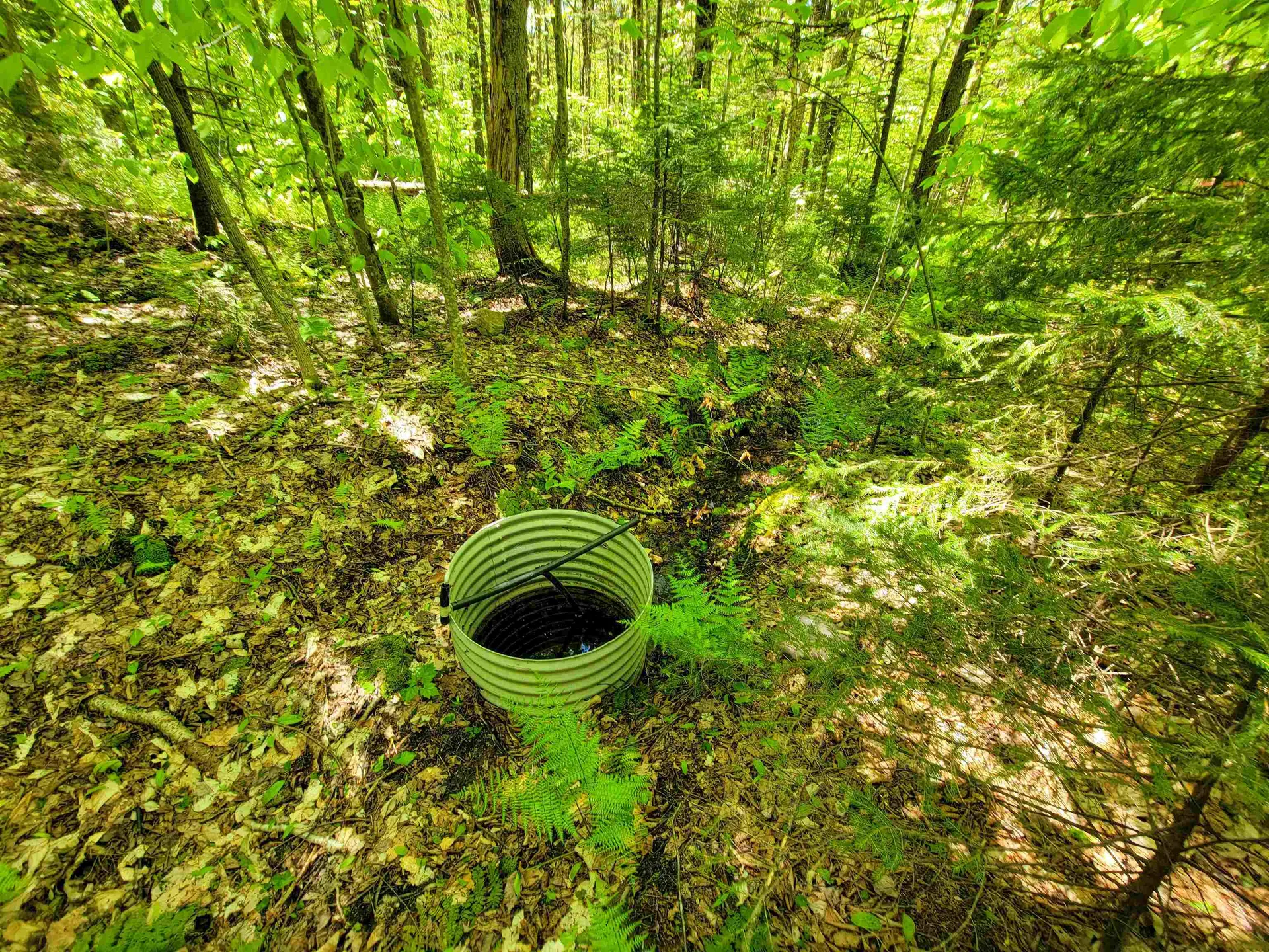 925 Hathaway Road Goshen VT 05733