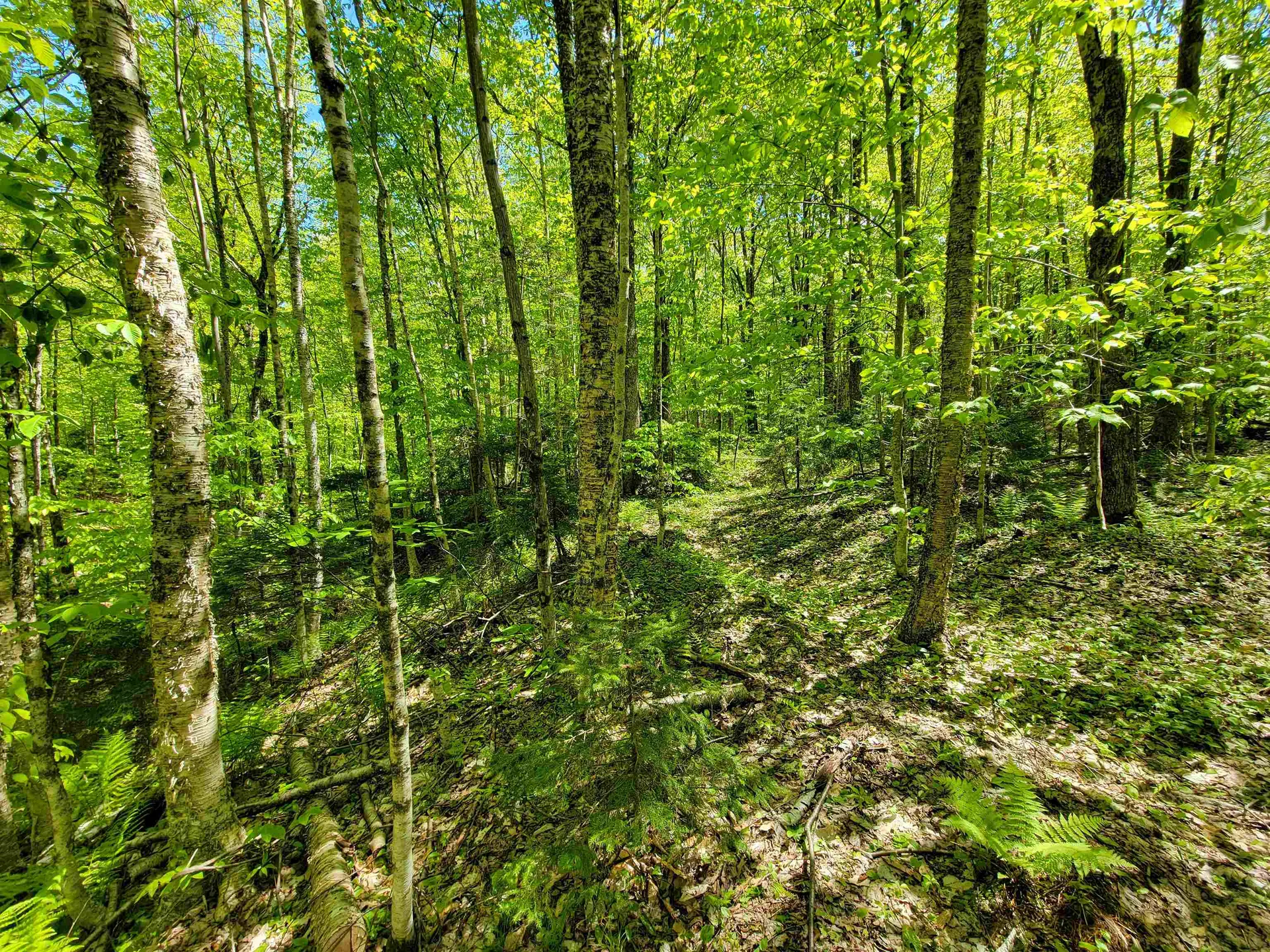 925 Hathaway Road Goshen VT 05733