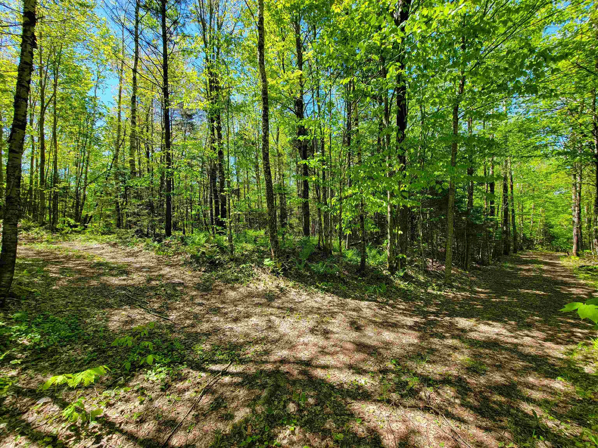 925 Hathaway Road Goshen VT 05733