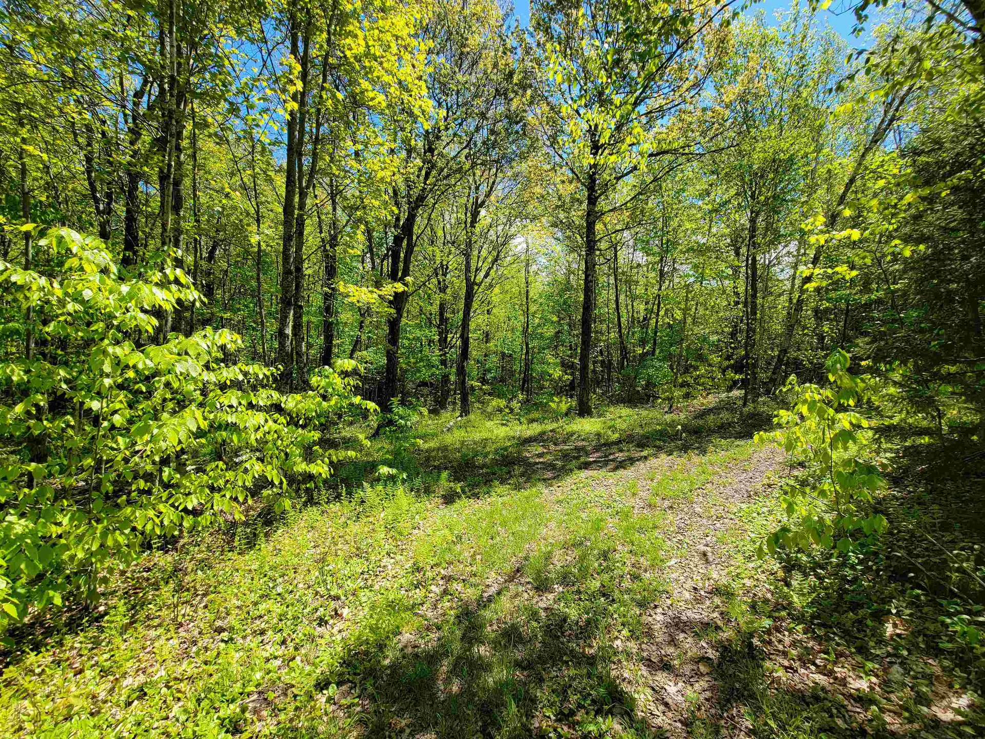 925 Hathaway Road Goshen VT 05733