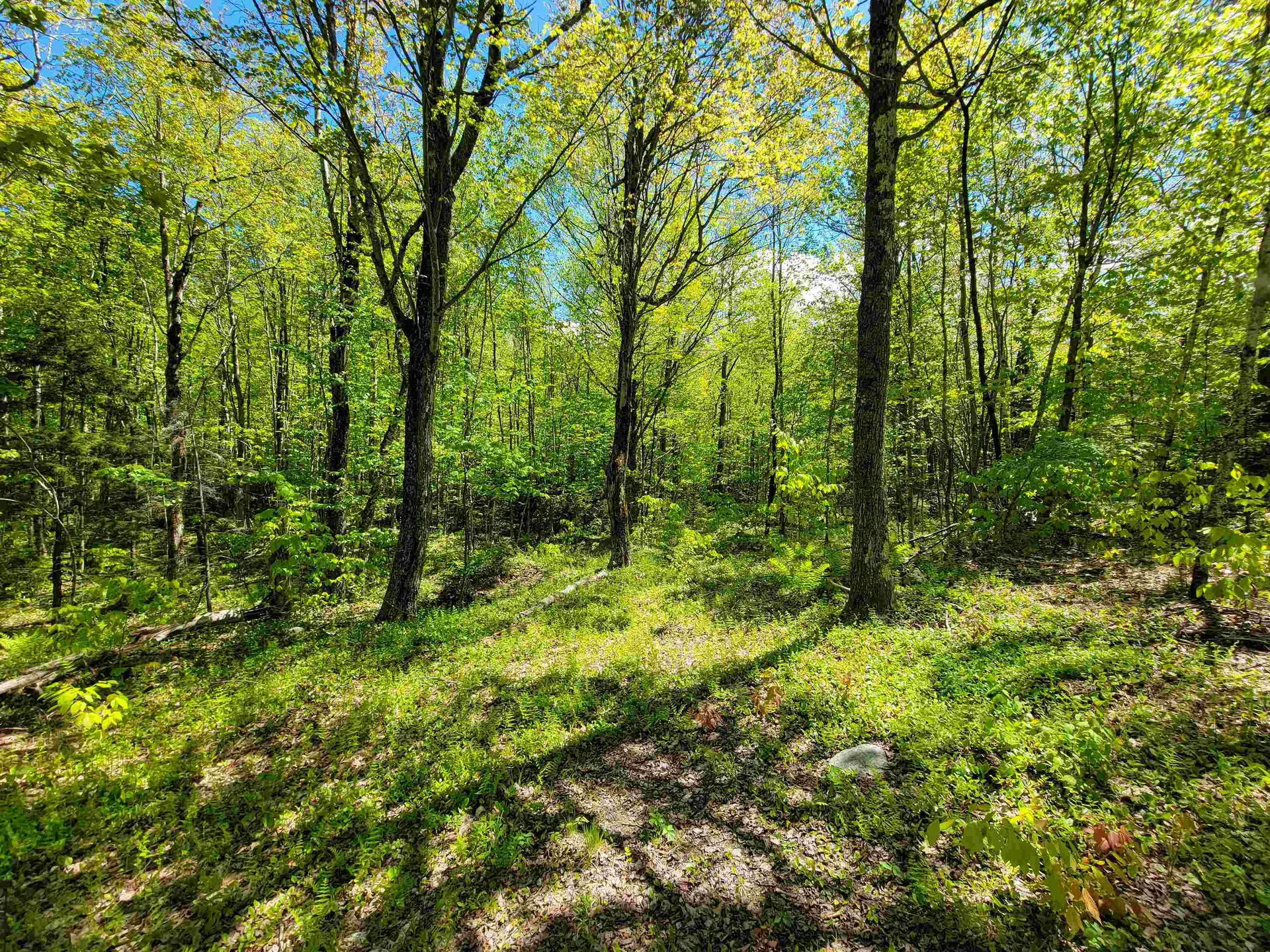 925 Hathaway Road Goshen VT 05733