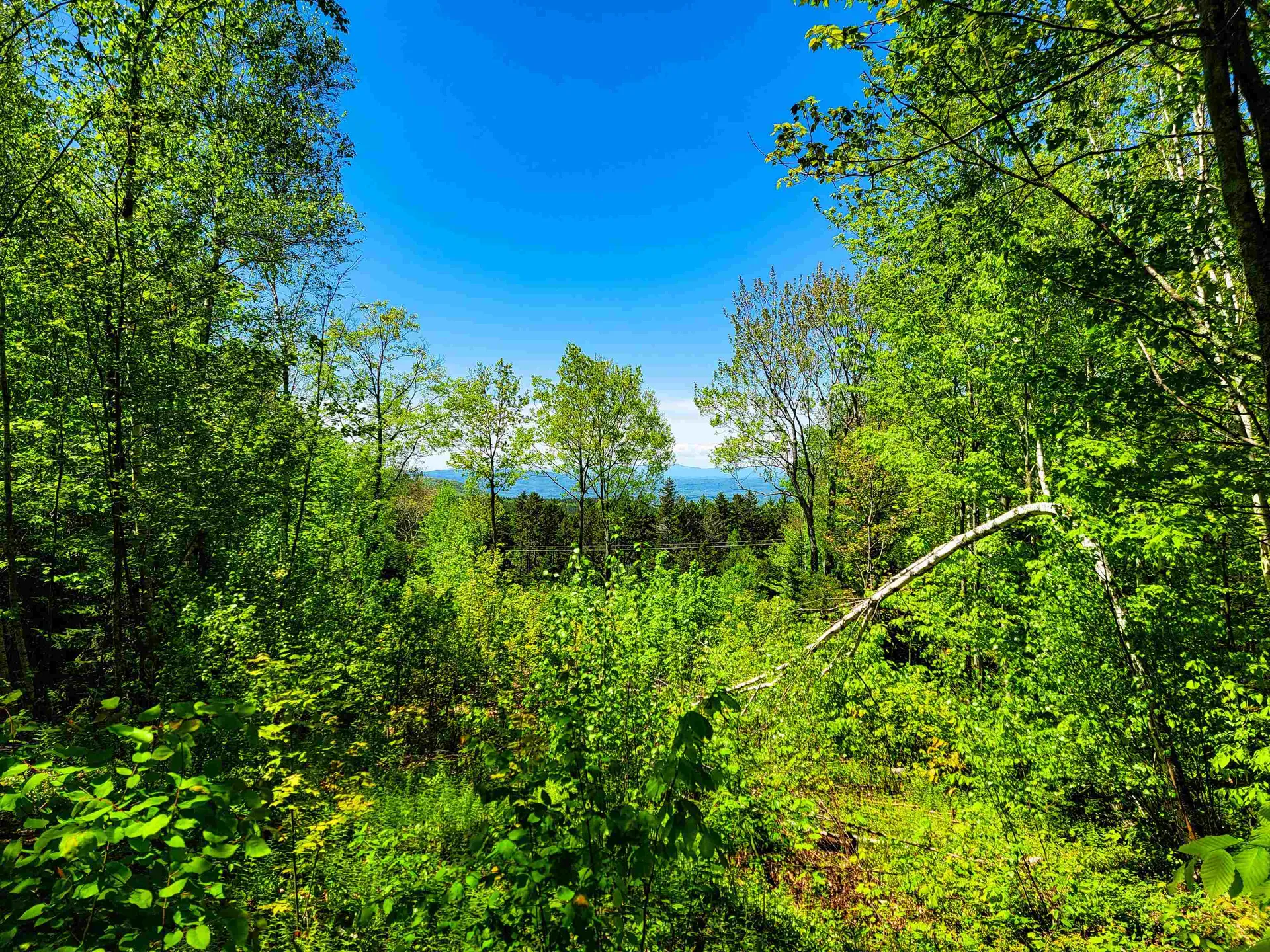 925 Hathaway Road Goshen VT 05733