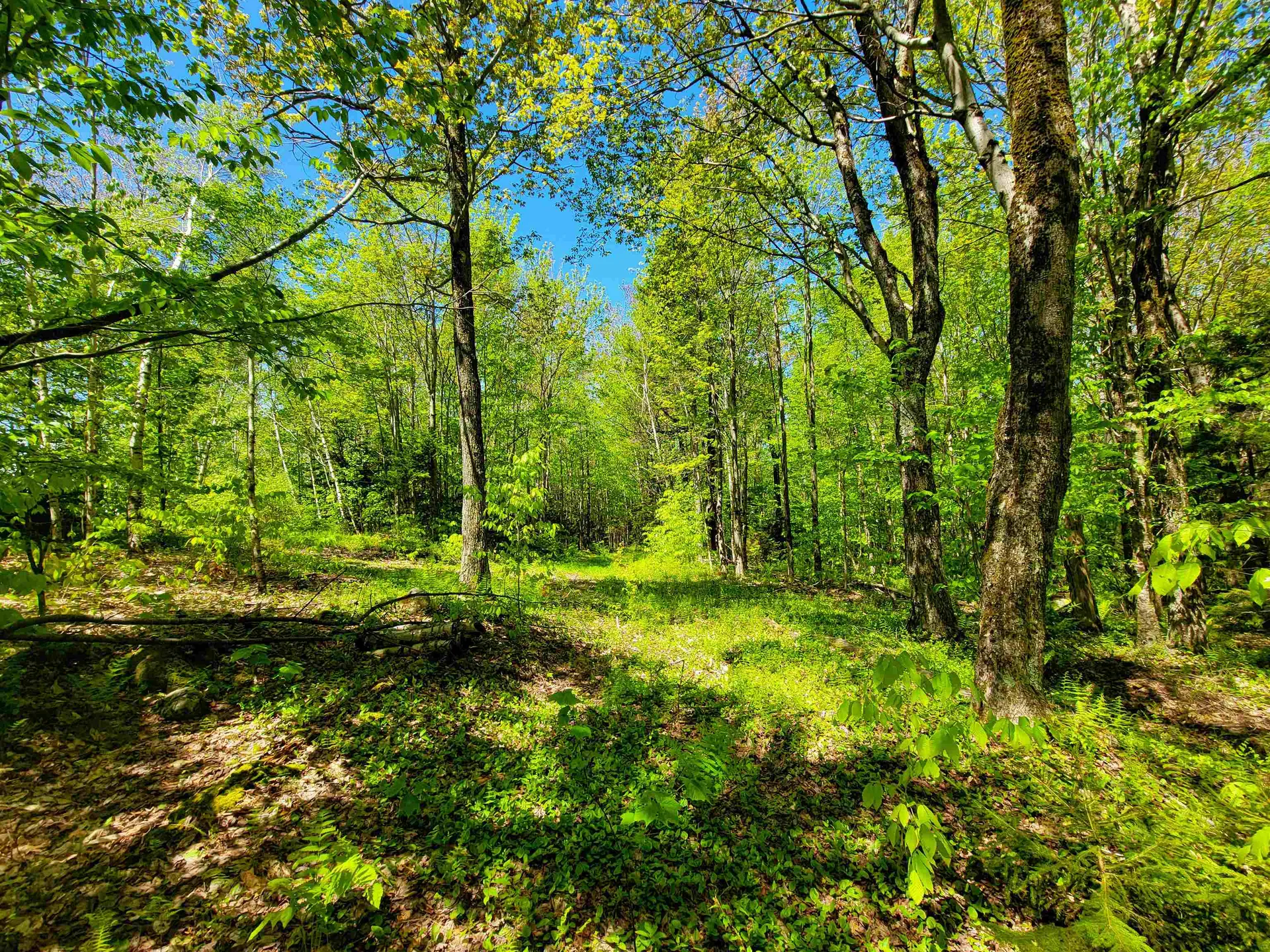 925 Hathaway Road Goshen VT 05733