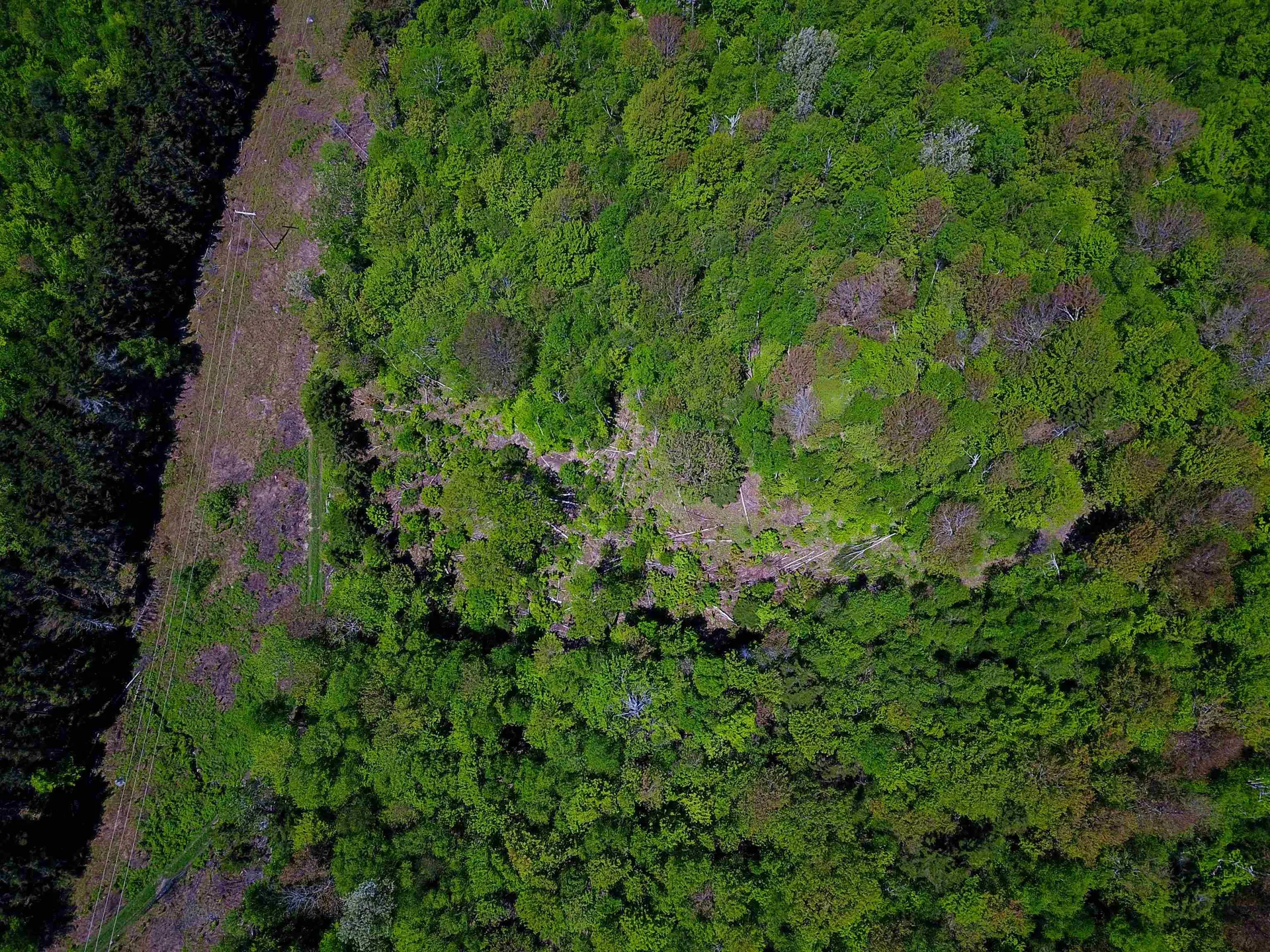 925 Hathaway Road Goshen VT 05733