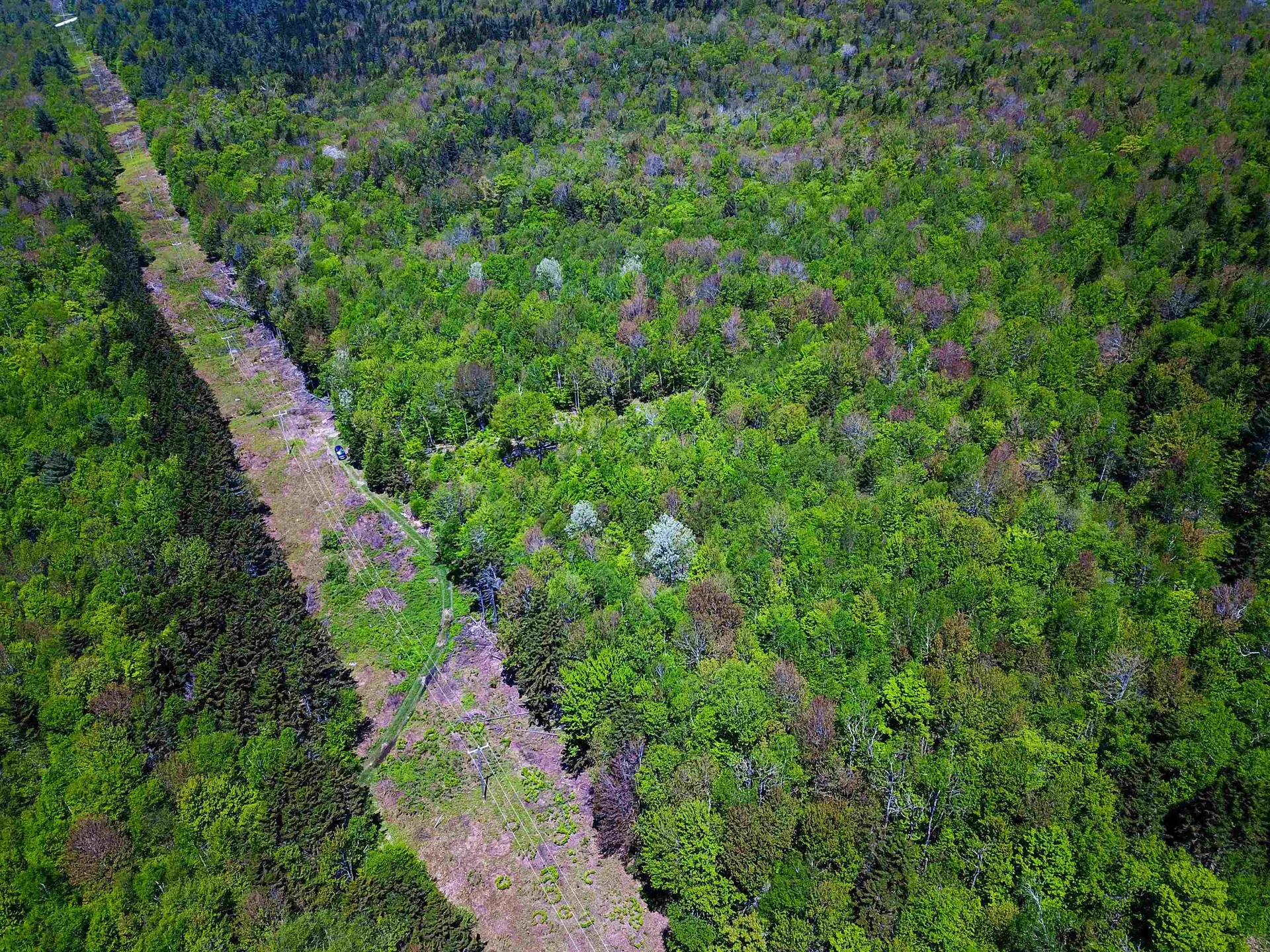 925 Hathaway Road Goshen VT 05733