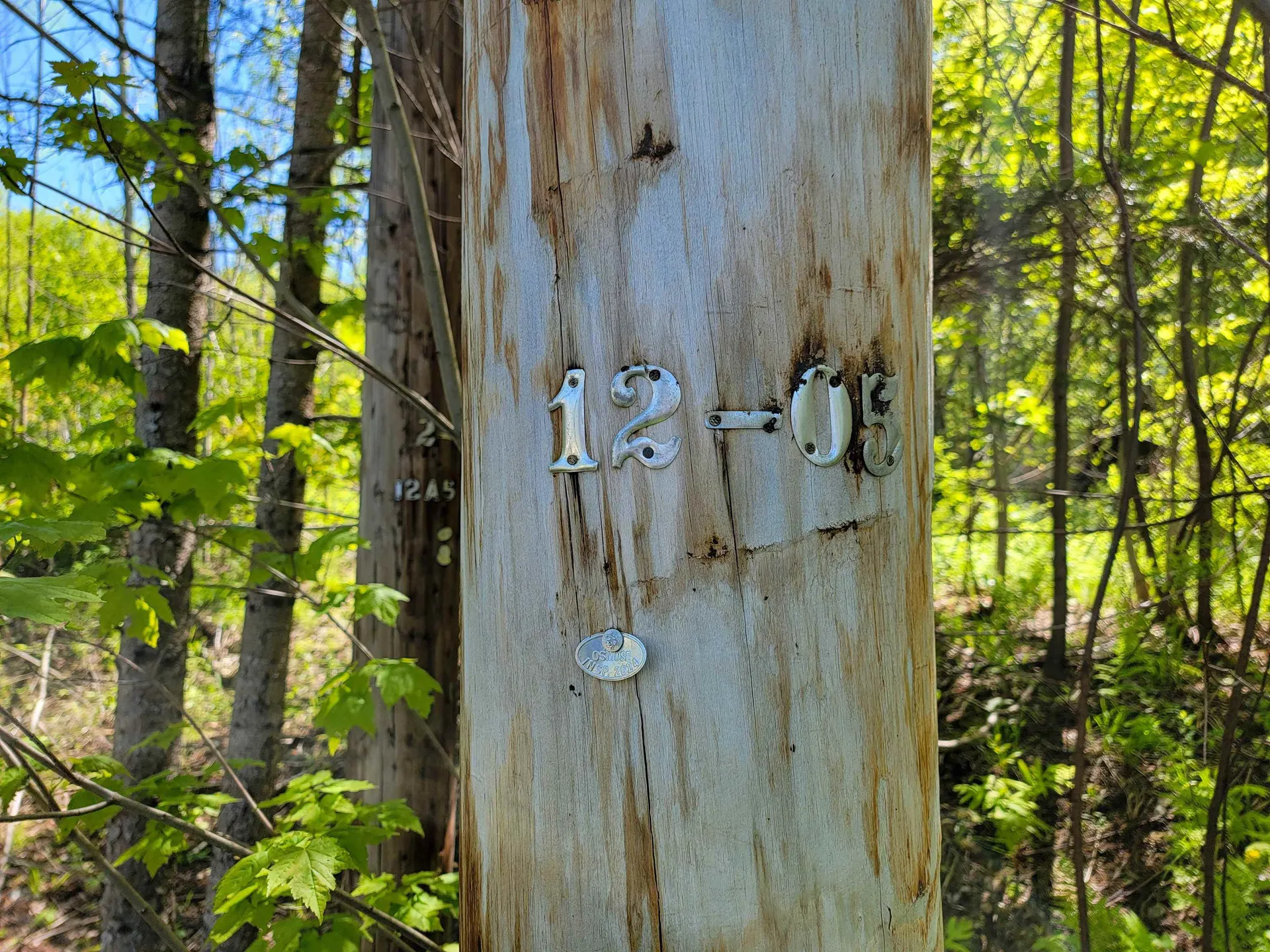 925 Hathaway Road Goshen VT 05733