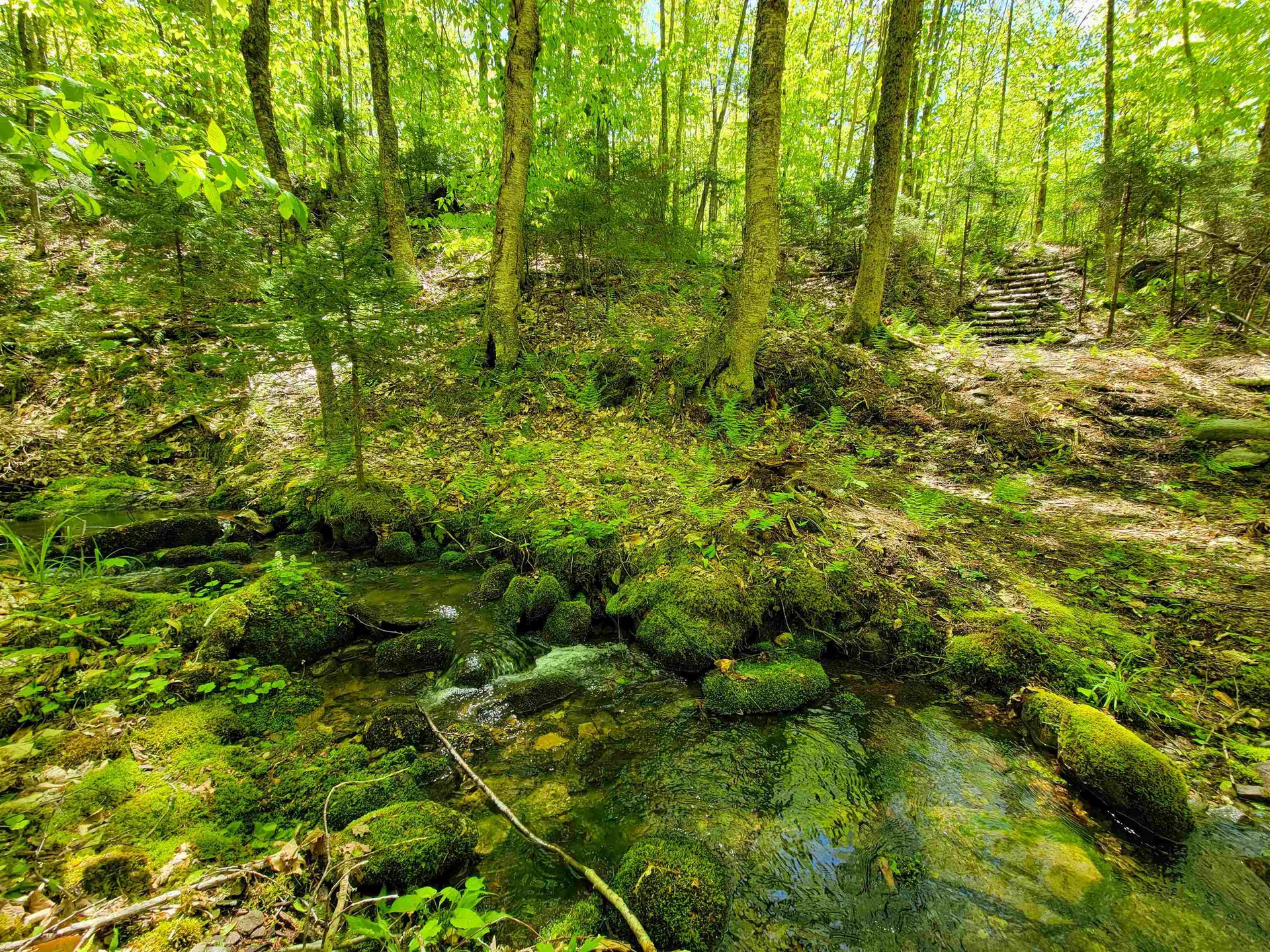 925 Hathaway Road Goshen VT 05733