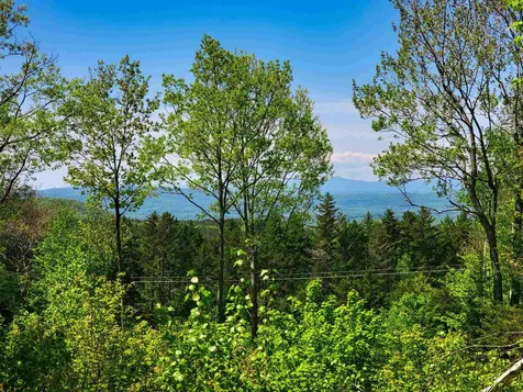 925 Hathaway Road Goshen VT 05733