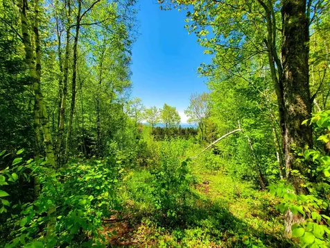 925 Hathaway Road Goshen VT 05733