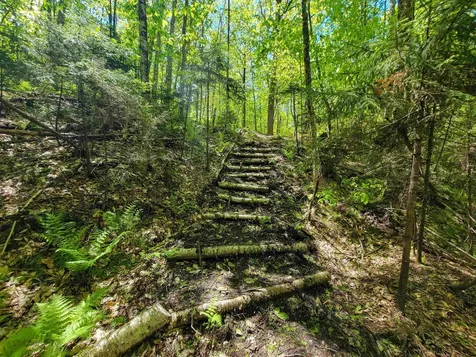 925 Hathaway Road Goshen VT 05733