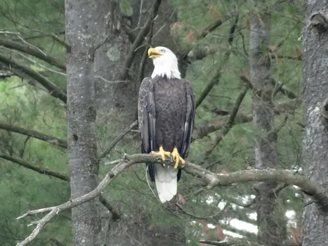 220 Hyatt Camp Road Benson VT 05743