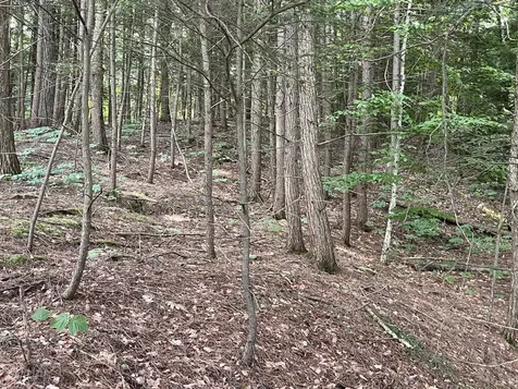 220 Hyatt Camp Road Benson VT 05743
