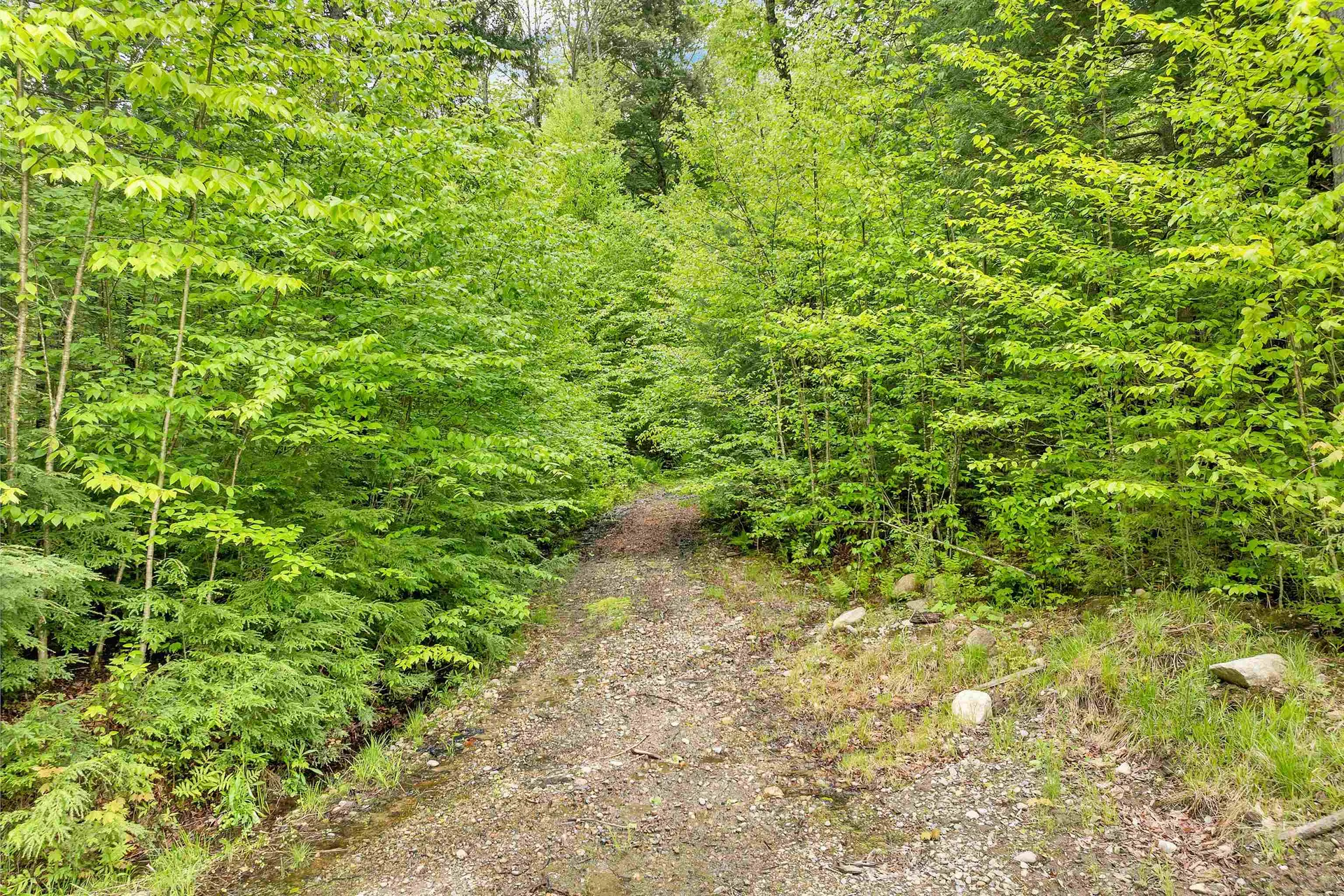 62 Quimby Road Campton NH 03223