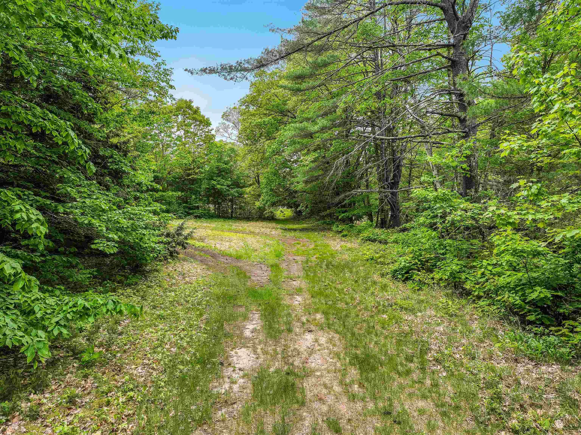 97 Salisbury Highway Andover NH 03216