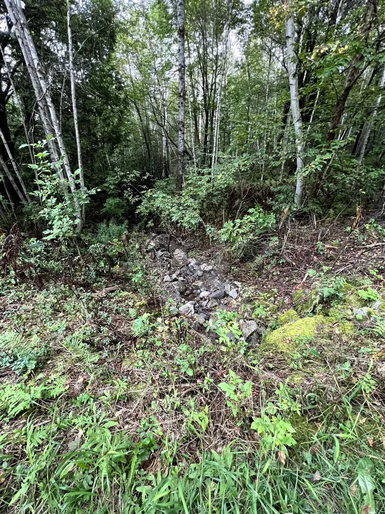 - Wayesses Shore Road Morgan VT 05853
