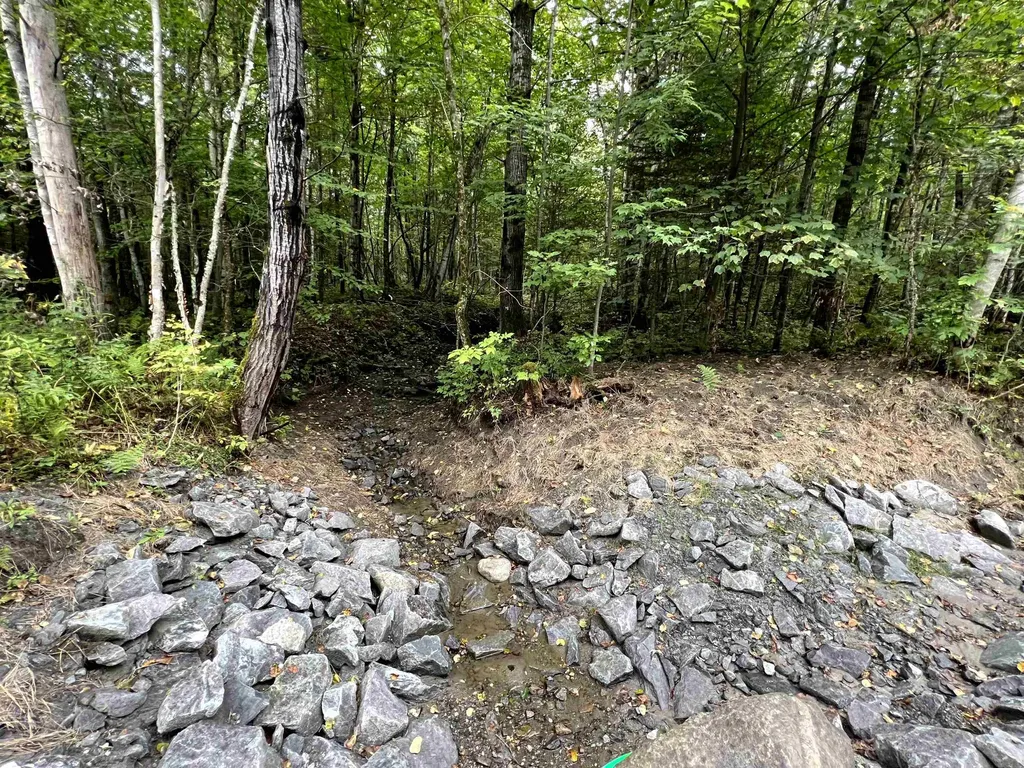 - Wayesses Shore Road Morgan VT 05853